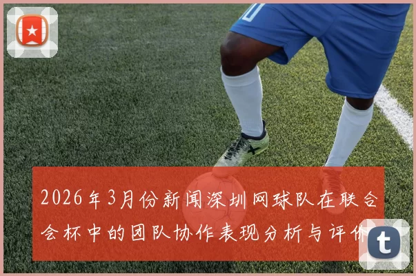 2026年3月份新闻深圳网球队在联合会杯中的团队协作表现分析与评价